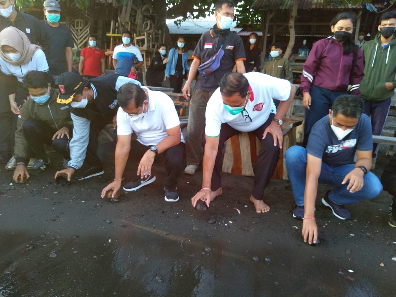 https://rb.bulelengkab.go.id/Peringati Hari Laut Sedunia, 35 Ekor Tukik Dilepasliarkan